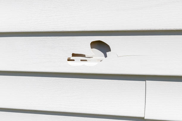 Reliable Pine Bush, NY Junk Removal Solutions